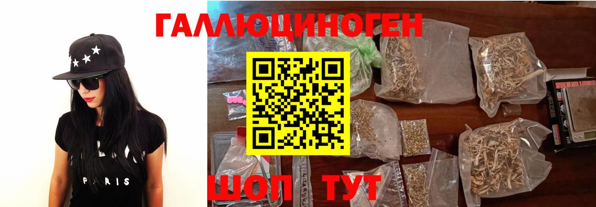 Галлюциногенные грибы Psilocybe  Вход с VPN  Дальнереченск 